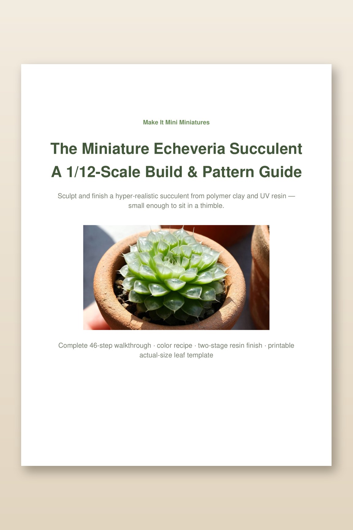 Miniature Echeveria Succulent
